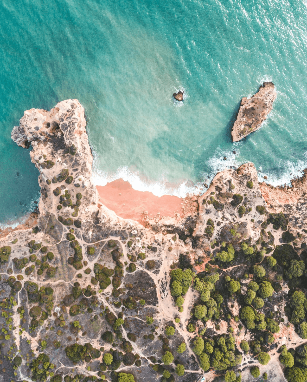 pexels-lukas-šakys-6678614 2-min