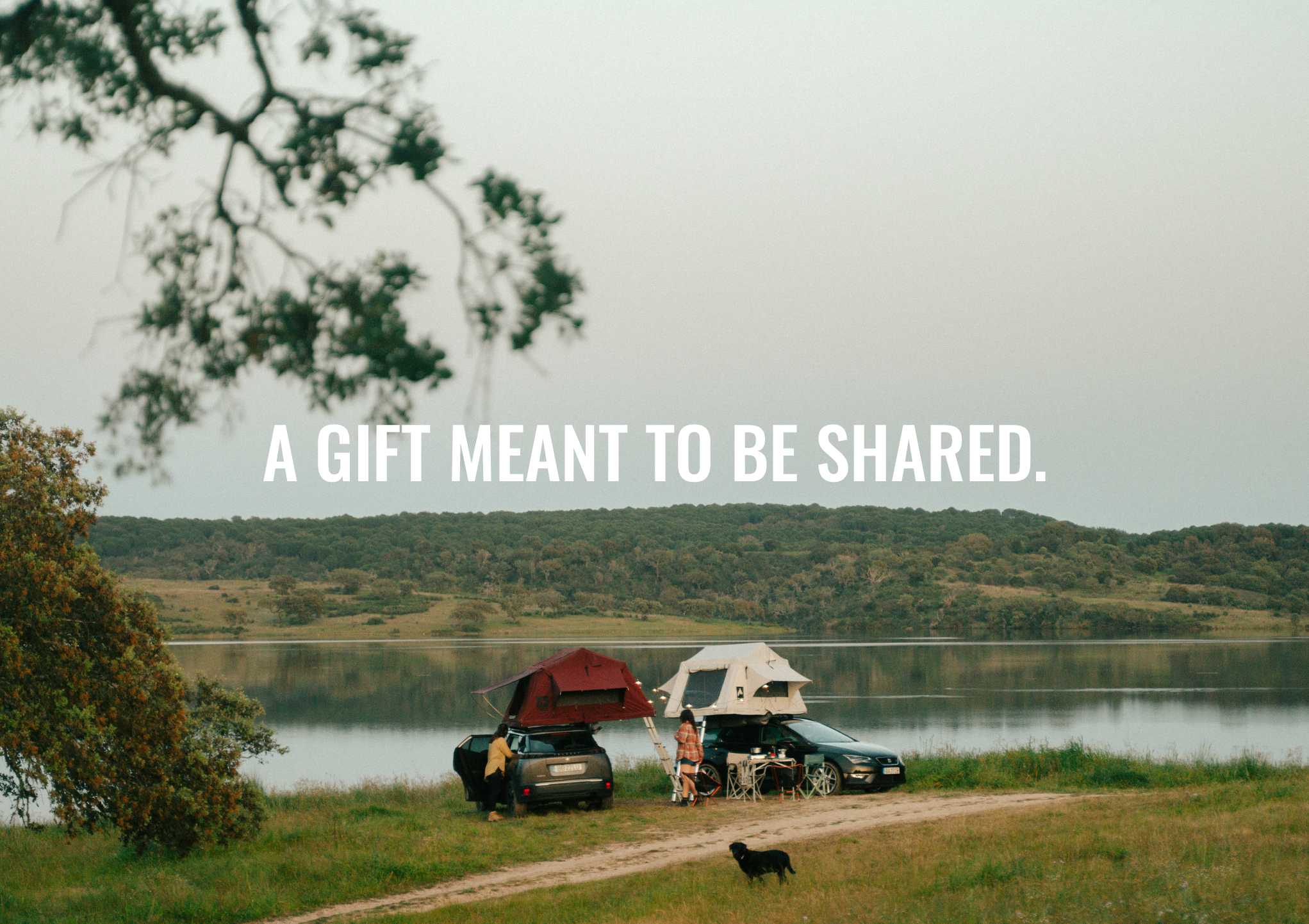 XMAS-GIFTCARD-BANNERSITE